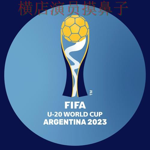 FIFA World Cup 2026背景下的世界杯投注平台汇总与玩法指南直播解析